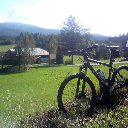 Ferienhaus Mit Seeblick Waldkirchen Exterior foto