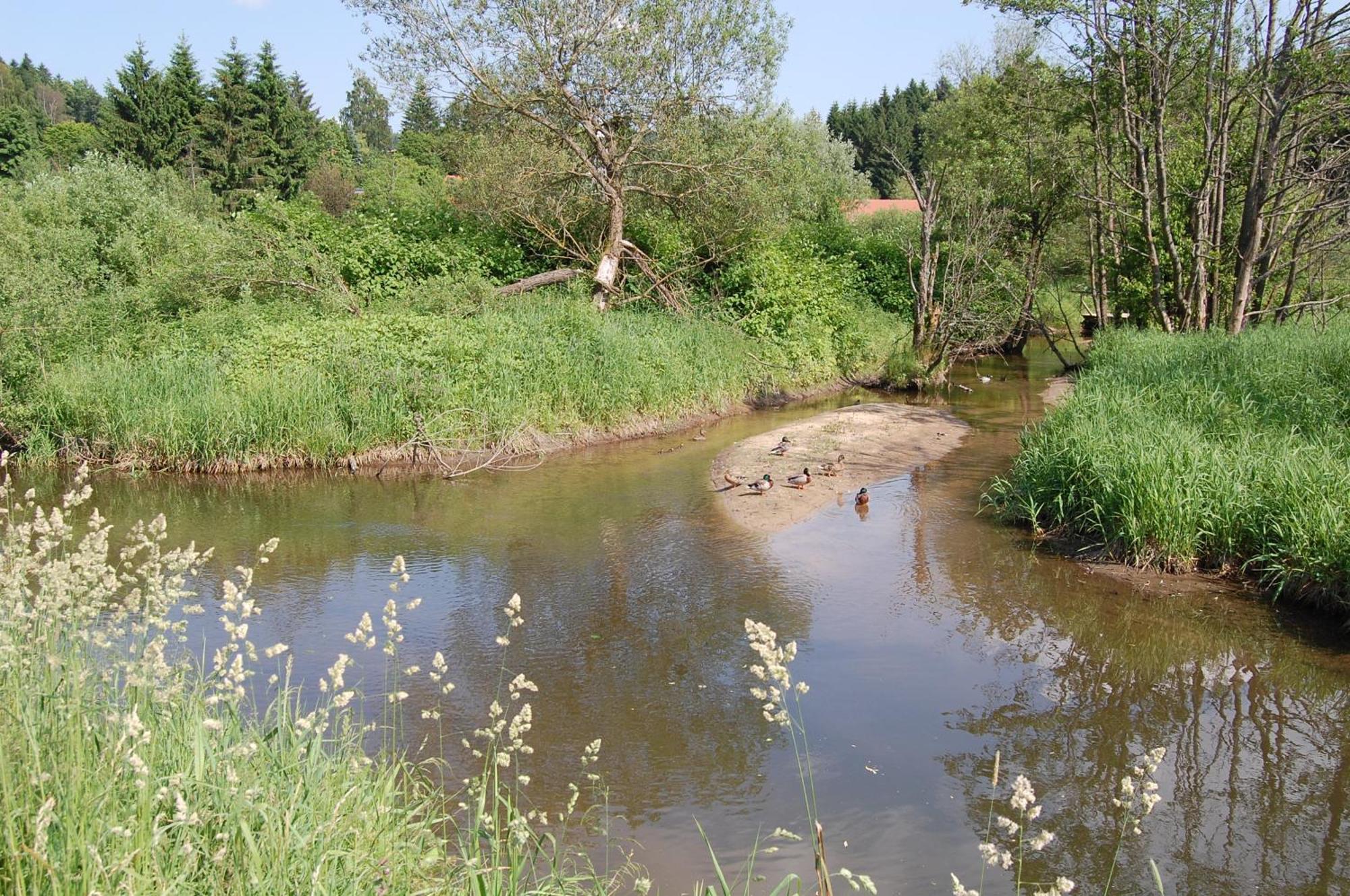 Ferienhaus Mit Seeblick Waldkirchen Exterior foto